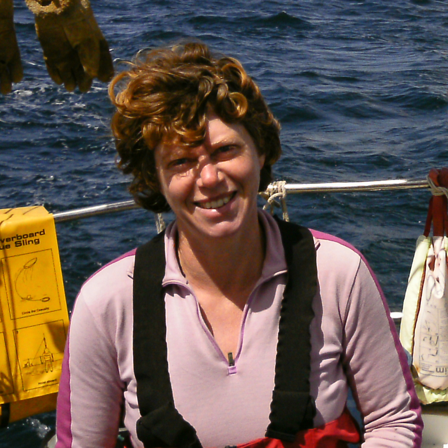 Suzanne Hill new trustee